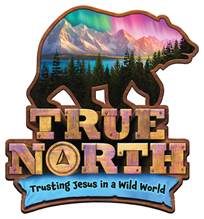 true-north-vbs-logo